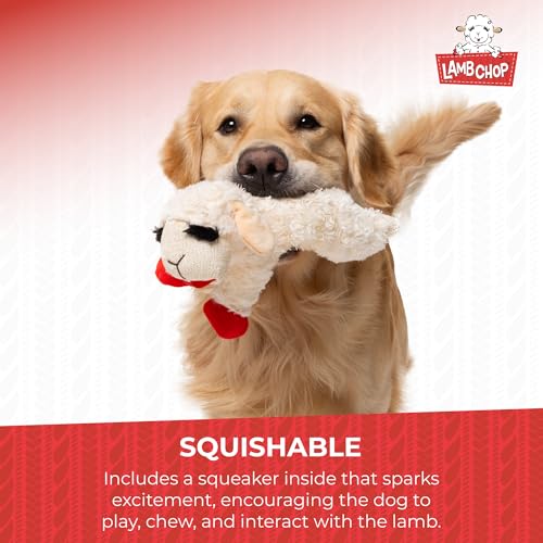 New Multipet Lamb Chop Plush Squeaky Toy | White, 10"
