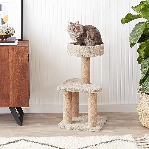 New Amazon Basics Indoor Cat & Kitten Multi-Level Activity Tower | Beige, 31.5" (Medium)