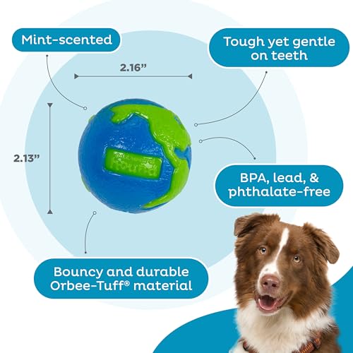 New Outward Hound Orbee-Tuff Planet Ball | Blue/Green, Small
