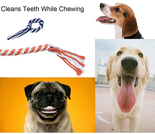 New ASOCEA Dog Rope Toys Set | Multi-Color, 3-Pack (Small/Medium)