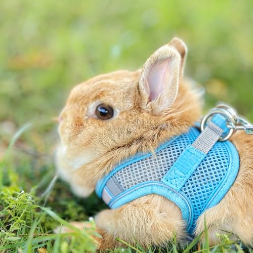 New FiboPawer Rabbit Harness and Leash Set | Green,S