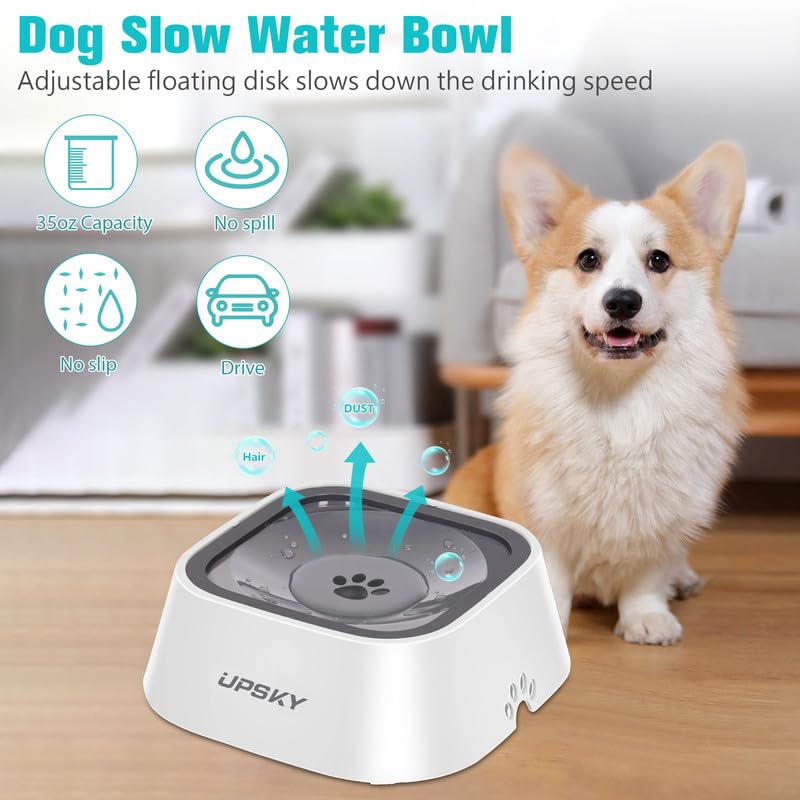 New UPSKY No-Spill Pet Water Bowl (Slow Water Feeder) | 35 oz