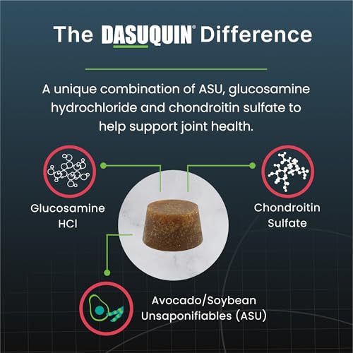 New Nutramax Dasuquin Soft Chews | Small–Medium Senior Dogs | 84 Count