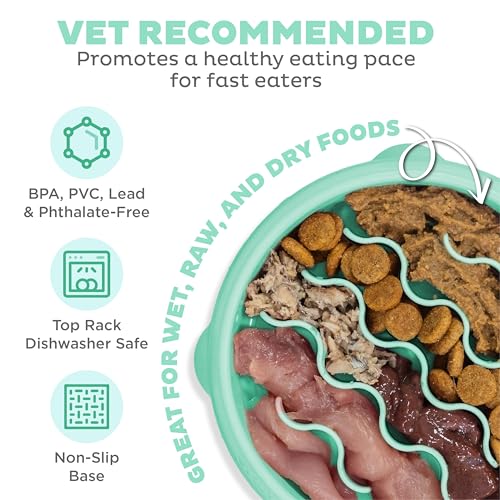 New Outward Hound Small Fun Feeder Slow Bowl (Puzzle) | Mint, ¾ Cup