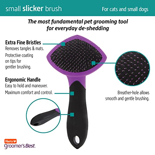 New Hartz Groomer's Best Small Slicker Brush for Cats and Small Dogs | Black/Violet, 1 count
