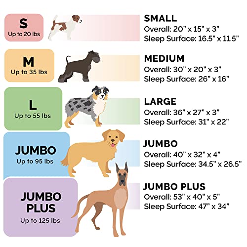 New Furhaven Orthopedic Dog Bed | Celadon Green, Large