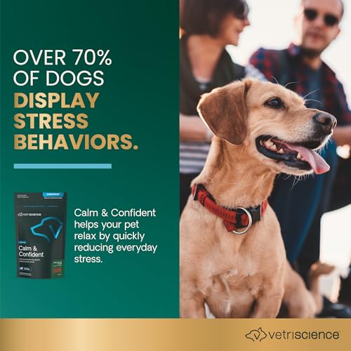 New VetriScience Composure Calm & Confident Chews | Peanut Butter, 60 Count