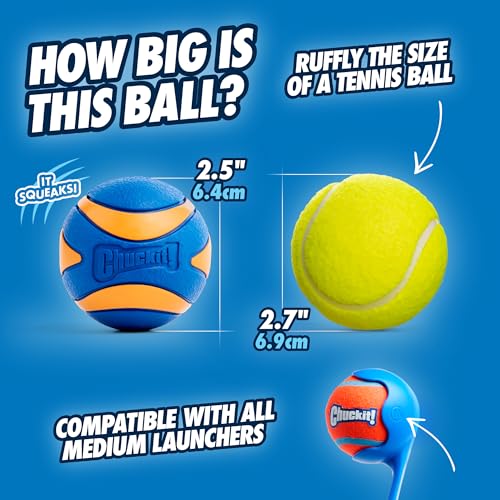 New Chuckit! Ultra Squeaker Balls | Orange/Blue, Medium (2-Pack, 2.5")
