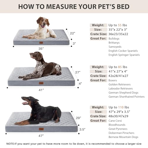 New WNPETHOME Orthopedic Large Sized Dog Bed | Light Grey, 47"L x 29"W x 3.5"Th