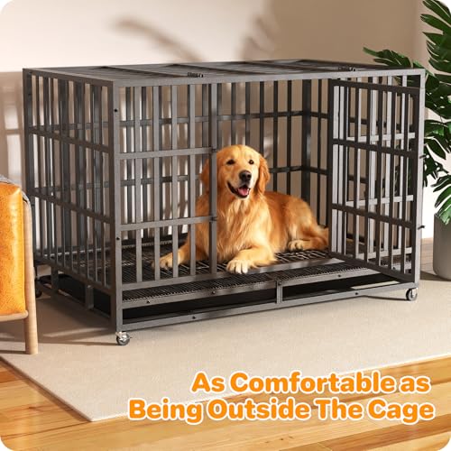 New HIWOKK Heavy Duty Indestructible Dog Crate Double Door High Anxiety Cage | 48 Inch - XL XXL
