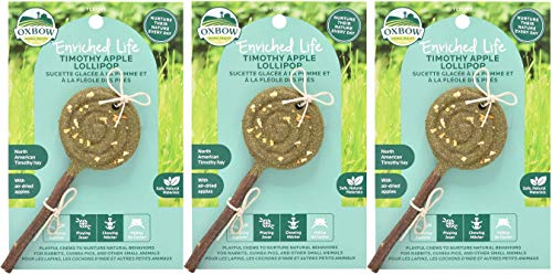 New Oxbow Animal Health Enriched Life Timothy Apple Lollipop Small Animal Chew Treat | 3 pack