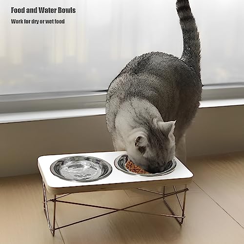 New GCVOPTON Stainless Steel Cat Bowls | 8 pcs, 5.5 inch
