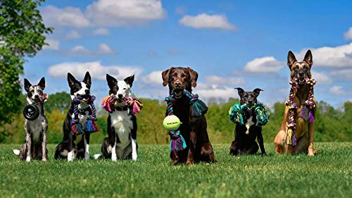 New Mammoth Flossy Chews Rope Tug | Multi-Color, One Size