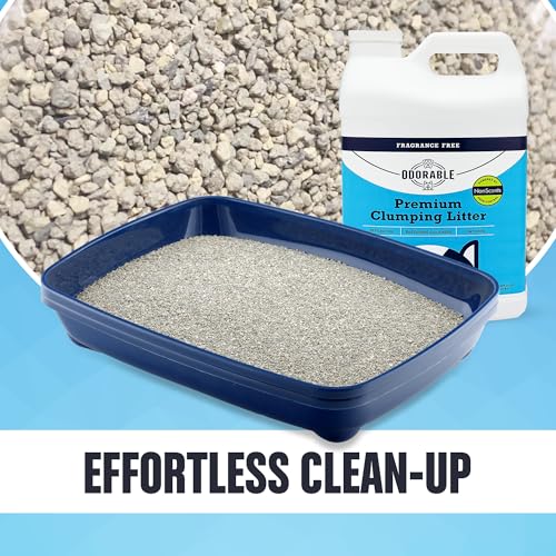 New Odorable Fragrance-Free Premium Clumping Cat Litter | 20 lb