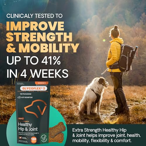 New VetriScience GlycoFlex 3 Hip & Joint Chews | Chicken, 120 Count