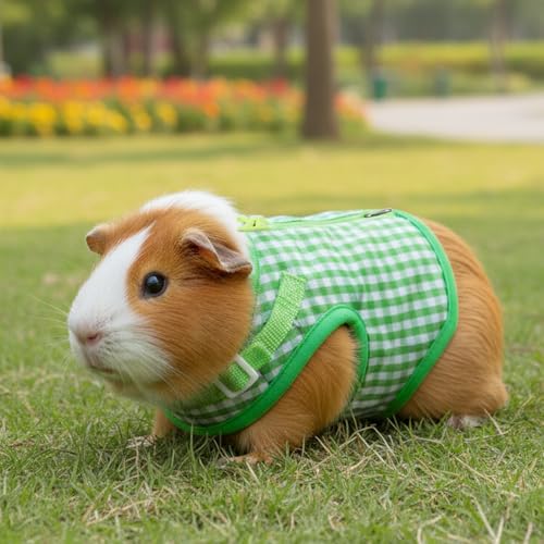 New Guduling Guinea Pig Harness and Leash | Green Plaid