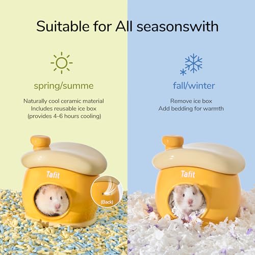 New tafit Ceramic Igloo Hamster Hideout | Orange