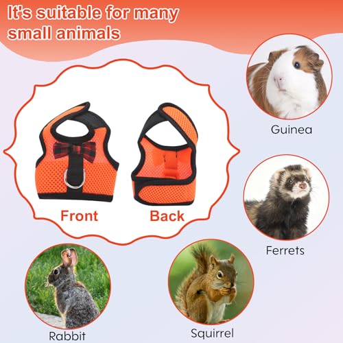 New Guinea Pig Harness and Leash | 2packs - Blue + Orange