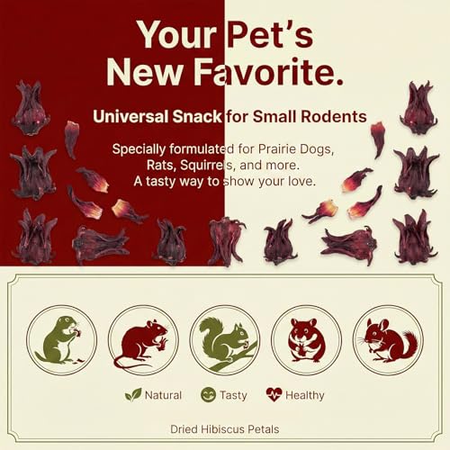 New RAINFLOW Hibiscus Flower Small Animal Treat | 5.3oz