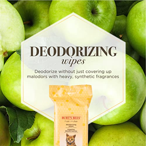 New Burt's Bees for Pets Deodorizing Cat Wipes | 50 count