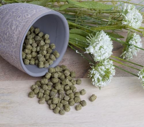 New Bunny Nature Crispy Snack Crunchy Treat for Small Animals | Vegetables