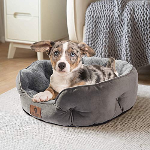 New Asvin Small Dog Bed | Grey, 20 inches