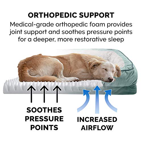 New Furhaven Orthopedic Dog Bed | Celadon Green, Large
