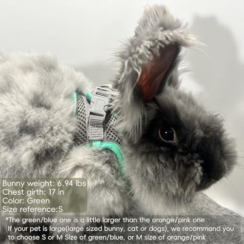 New FiboPawer Rabbit Harness and Leash Set | Green,S