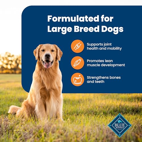 New Blue Buffalo Life Protection Formula Large Breed Adult Dry Dog Food | Chicken & Brown Rice • 30 lb