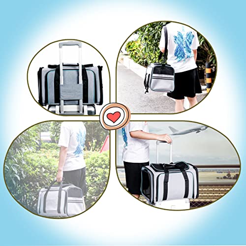 New Cat Dog Carrier Expandable Soft-Sided Carrier | Large, 2-Side Expandable