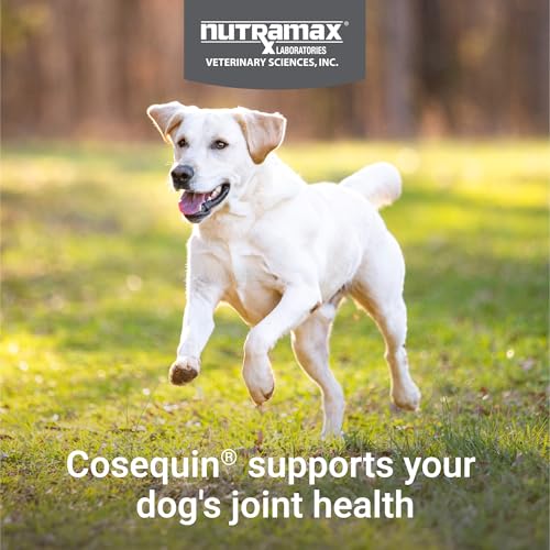 New Nutramax Cosequin Joint Health Supplement | 132 Chewable Tablets