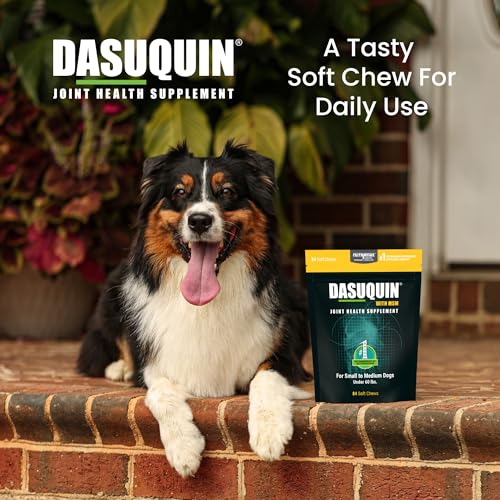 New Nutramax Dasuquin with MSM Soft Chews | Small/Medium Dogs, 84 Count