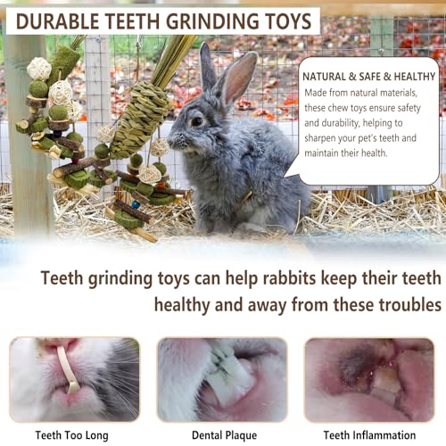 New Acsist Rabbit Chew Toy Bunny Cage Hanging Chew Toy and Treats | 2 pcs