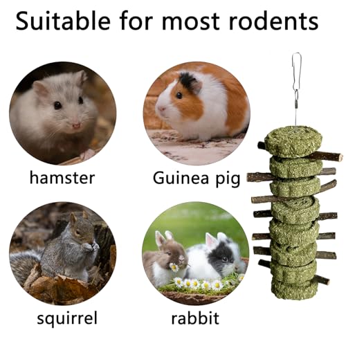 New LWINGFLYER Bunny Chew Toys Apple Wood Chews Cage Hanging Grass Cake Snack | 4 pack