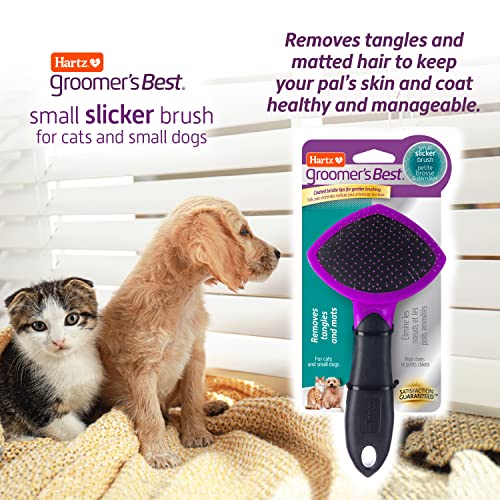 New Hartz Groomer's Best Small Slicker Brush for Cats and Small Dogs | Black/Violet, 1 count