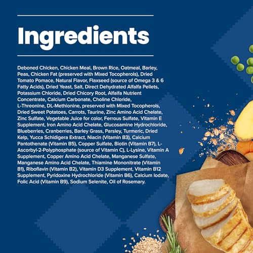 New Blue Buffalo Life Protection Formula Natural Adult Dry Dog Food | Chicken & Brown Rice • 5 lb (Trial Size)