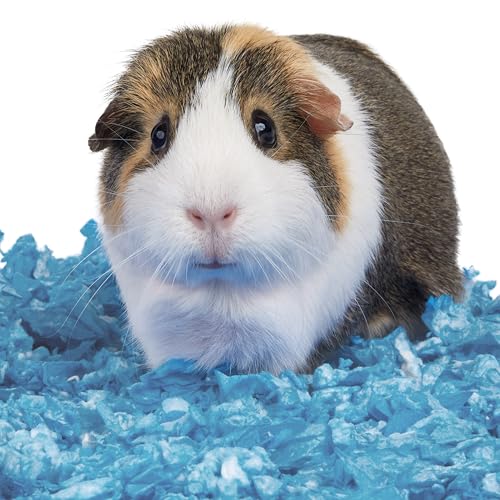 New Kaytee Clean & Cozy Blue Bedding | Blue, 24.6 L