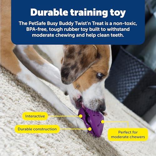 New PetSafe Busy Buddy Twist ’n Treat | Purple, Small