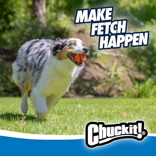 New Chuckit! Ultra Ball Dog Toy | Orange/Blue, Medium (2-Pack, 2.5")