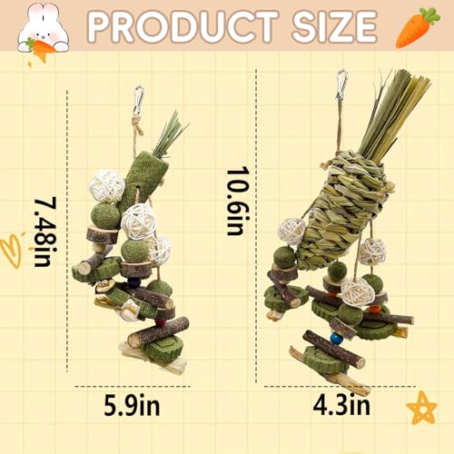 New Acsist Rabbit Chew Toy Bunny Cage Hanging Chew Toy and Treats | 2 pcs