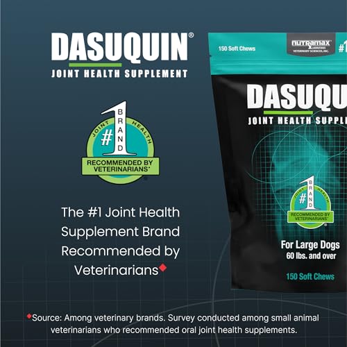 New Nutramax Dasuquin Soft Chews | Large Dogs, 150 Count