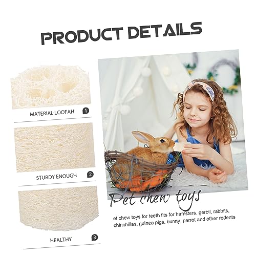 New COLLBATH Guinea Pig Chew Toy Natural Loofah Molar Snack | Natural