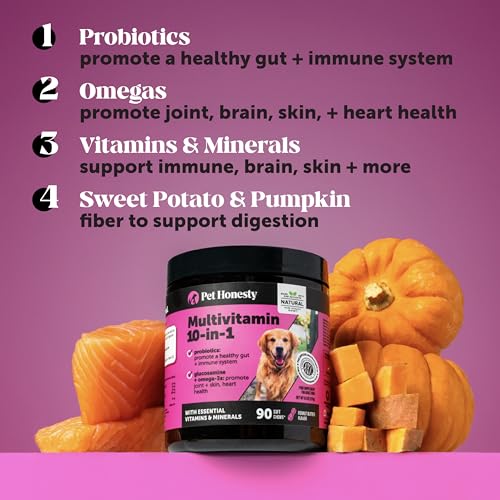 New Dog Multivitamin 10-in-1 Vitamins | Chicken, 180 Count