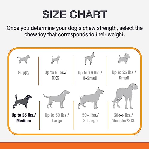 New Nylabone Original Wishbone Power Chew | Natural, Medium