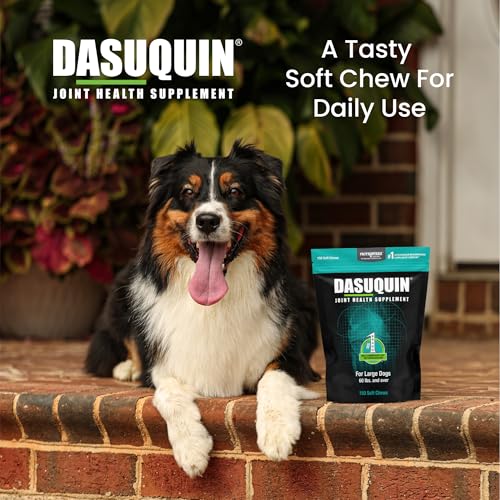 New Nutramax Dasuquin Soft Chews | Large Dogs, 150 Count