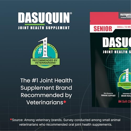 New Nutramax Dasuquin Soft Chews | Small–Medium Senior Dogs | 84 Count