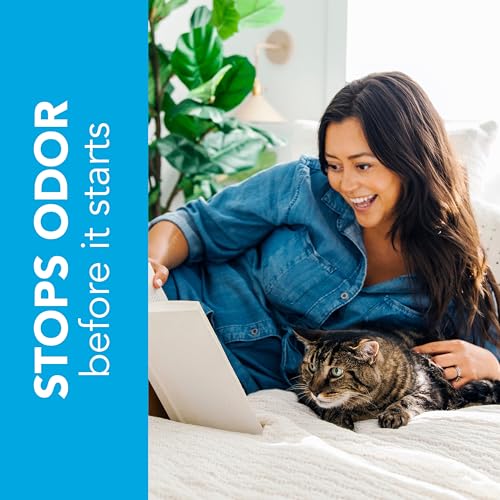 New ökocat Original Wood Clumping Cat Litter, Natural Ingredients | Unscented, 26 lb XL