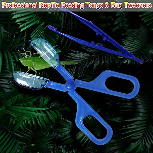 New RORANIC Feeding Tongs | Blue