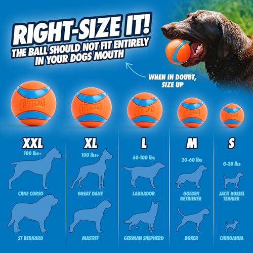 New Chuckit! Ultra Ball Dog Toy | Orange/Blue, Medium (2-Pack, 2.5")