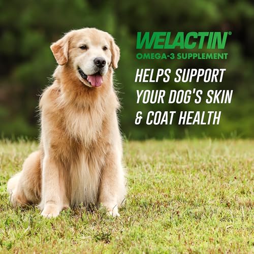 New Nutramax Welactin Omega-3 Fish Oil | 16 oz Liquid